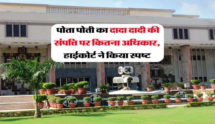 Delhi Highcourt : पोता पोती &nbsp;का दादा दादी की संपत्ति पर कितना अधिकार, हाईकोर्ट ने किया स्पष्ट