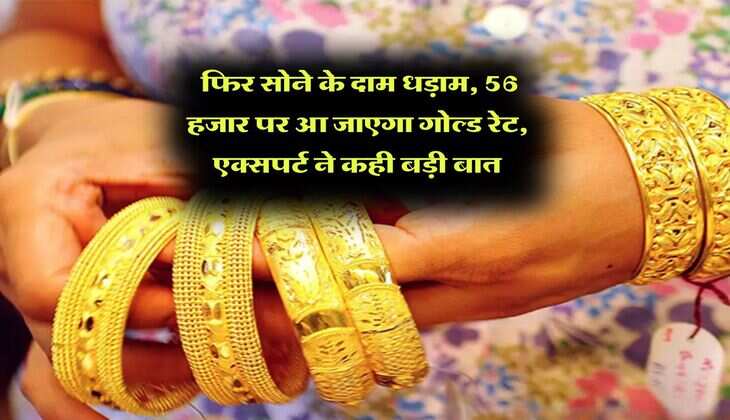 Gold Rate : फिर सोने के दाम धड़ाम, 56 हजार पर आ जाएगा गोल्ड रेट, एक्सपर्ट ने कही बड़ी बात