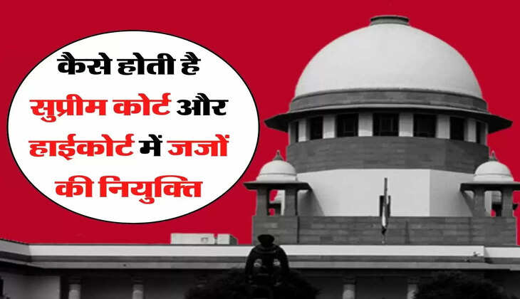  judge appointment process कैसे होती है सुप्रीम कोर्ट और हाईकोर्ट में जजों की नियुक्ति? जानिए सबकुछ विस्तार से