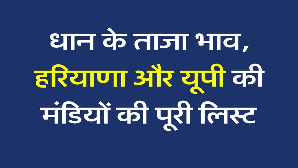 1509 Paddy Rate Today: धान के ताजा भाव, हरियाणा और यूपी की मंडियों की पूरी लिस्ट