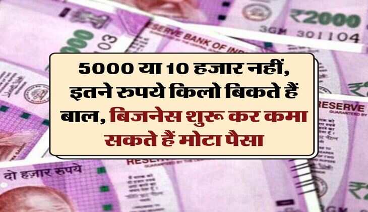 Business Ideas : 5000 या 10 हजार नहीं, इतने रुपये किलो बिकते हैं बाल, बिजनेस शुरू कर कमा सकते हैं मोटा पैसा