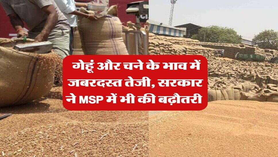 Mandi Bhav : गेहूं और चने के भाव में जबरदस्त तेजी, सरकार ने MSP में भी की बढ़ौतरी 