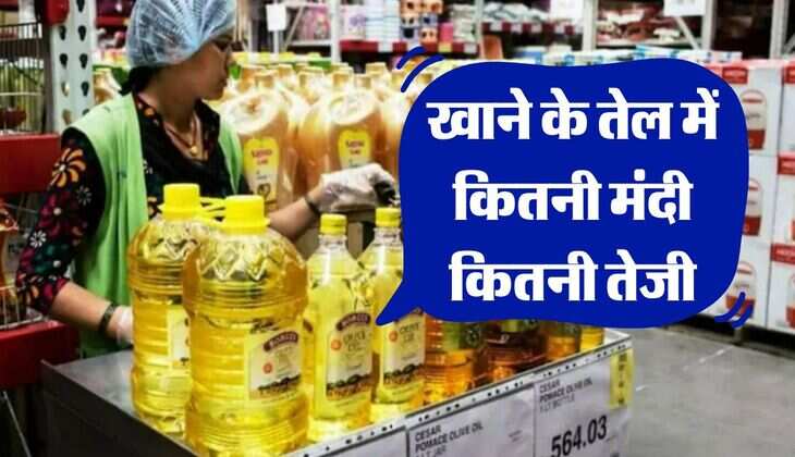 edible oil price : खाने के तेल में कितनी मंदी कितनी तेजी, चेक कर लें लेटेस्ट प्राइस&nbsp;