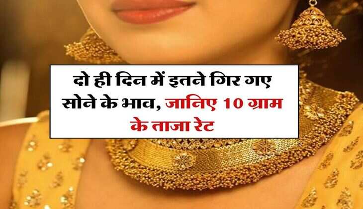 Gold Rate 13 August : दो ही दिन में इतने गिर गए सोने के भाव, जानिए 10 ग्राम के ताजा रेट