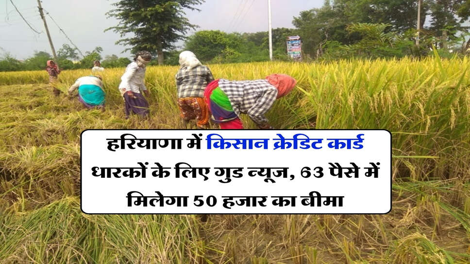हरियाणा में किसान क्रेडिट कार्ड धारकों के लिए गुड न्यूज, 63 पैसे में मिलेगा 50 हजार का बीमा