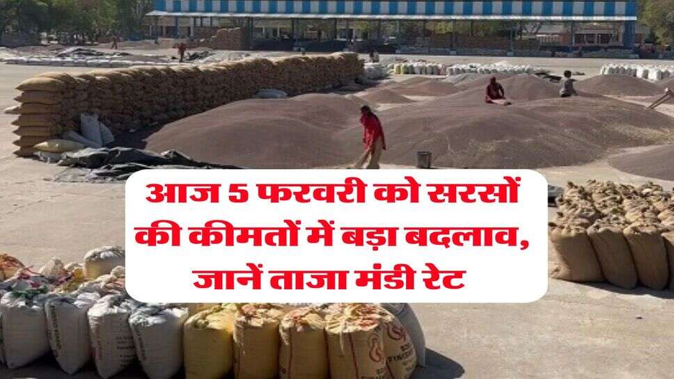 sarso ka bhav : आज 5 फरवरी को सरसों की कीमतों में बड़ा बदलाव, जानें ताजा मंडी रेट&nbsp;