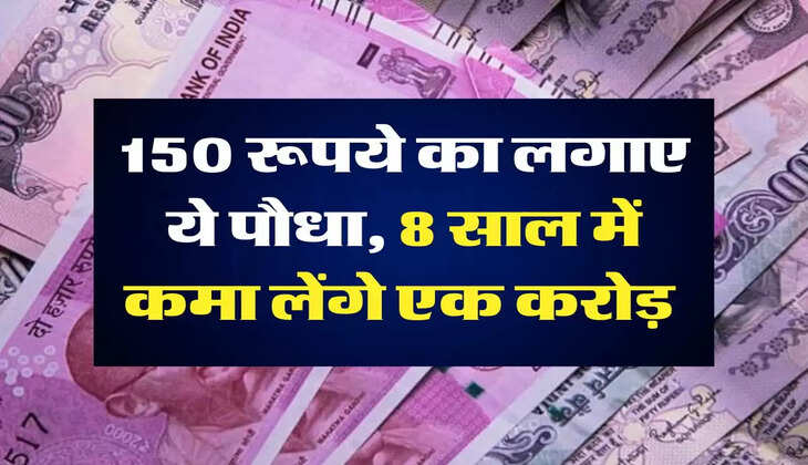 Business : 150 रूपये का लगाए ये पौधा, 8 साल में कमा लेंगे एक करोड़ 