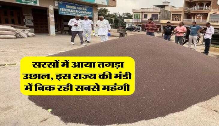 Sarso Rate : सरसों में आया तगड़ा उछाल, इस राज्य की मंडी में बिक रही सबसे महंगी