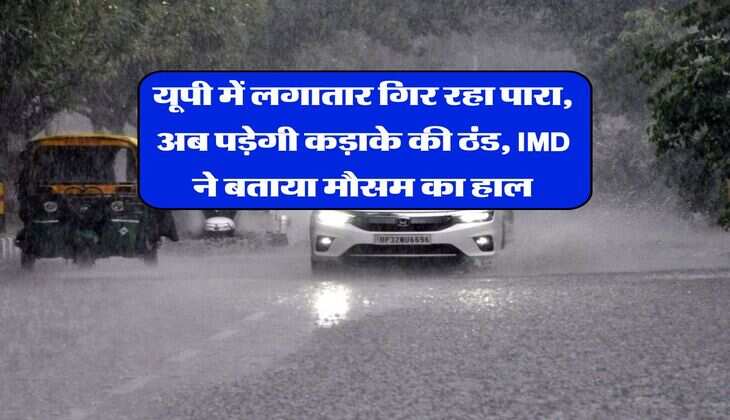 Winter Shopping : शॉपिंग का कर रहे प्लान तो बेस्ट है दिल्ली के ये बाजार, इतने रुपये में मिल जाएंगे स्वेटर