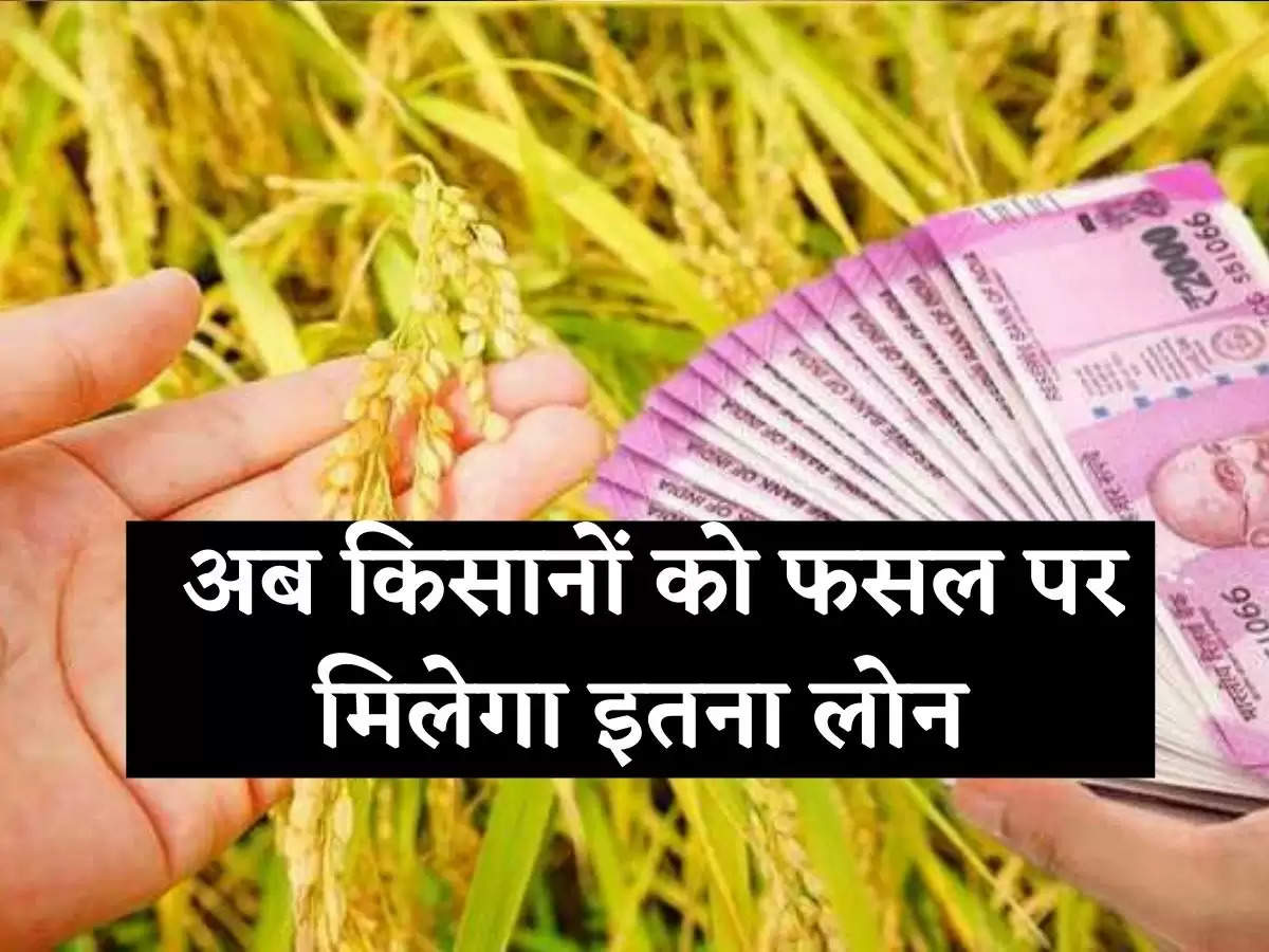 Crop loan cut, now farmers will get so much loan on crop