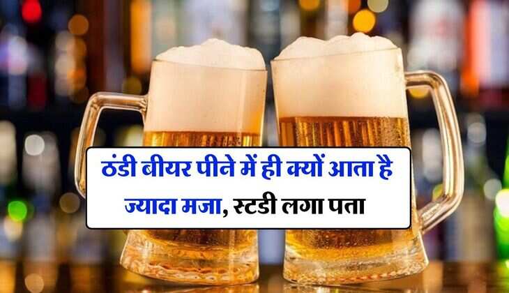 Chilled Beer : ठंडी बीयर पीने में ही क्यों आता है ज्यादा मजा, स्टडी लगा पता