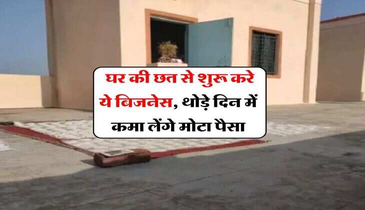 Business Idea : घर की छत से शुरू करे ये बिजनेस, थोड़े दिन में कमा लेंगे मोटा पैसा