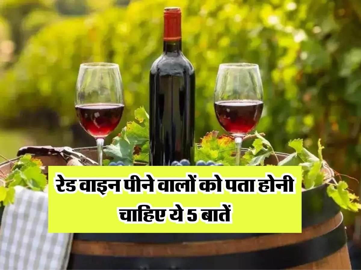 Red Wine : रेड वाइन पीने वालों को पता होनी चाहिए ये 5 बातें, वरना फिर होगा पछतावा