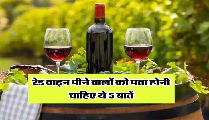 Red Wine : रेड वाइन पीने वालों को पता होनी चाहिए ये 5 बातें, वरना फिर होगा पछतावा