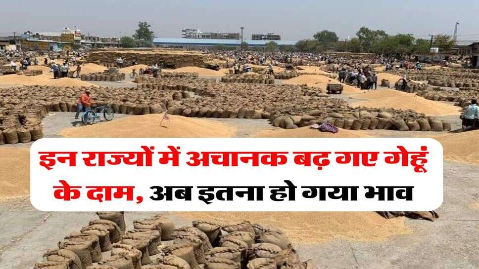wheat rate hike : इन राज्यों में अचानक बढ़ गए गेहूं के दाम, अब इतना हो गया भाव