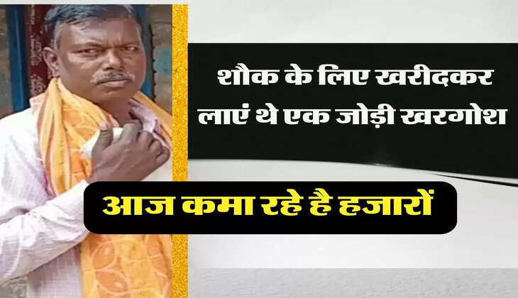 Rabbit farming Success story: शौक के लिए खरीदकर लाएं थे एक जोड़ी खरगोश, आज कमा रहे है हजारों&nbsp;