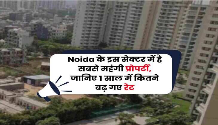 Noida के इस सेक्टर में है सबसे महंगी प्रोपर्टी, जानिए 1 साल में कितने बढ़ गए रेट