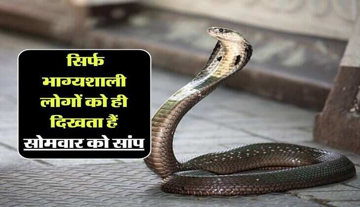 Somwar ke Upay: सिर्फ भाग्यशाली लोगों को ही दिखता हैं सोमवार को सांप, खुल जाएगें किस्मत के किस्मत के दरवाजे