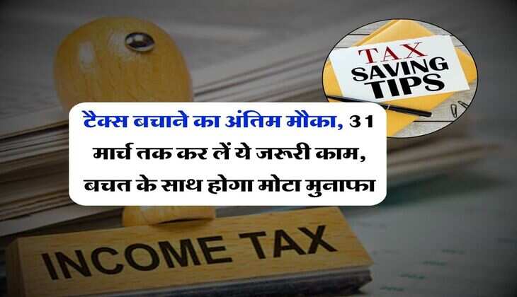 Tax Saving Tips: टैक्स बचाने का अंतिम मौका, 31 मार्च तक कर लें ये जरूरी काम, बचत के साथ होगा मोटा मुनाफा