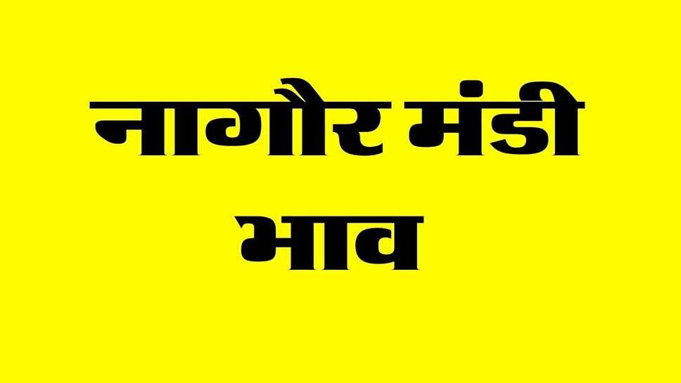 नागौर मंडी भाव 18 अक्टूबर 2026 : जीरा और ईसबगोल के बढ़े रेट, चेक करें ग्वार, तिल, सरसों और मोठ का भाव&nbsp;