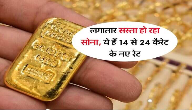 MCX Gold Price Today : लगातार सस्ता हो रहा सोना, ये हैं 14 से 24 कैरेट के नए रेट