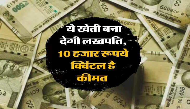 Business Idea: ये खेती बना देगी लखपति, 10 हजार रूपये क्विंटल है कीमत 