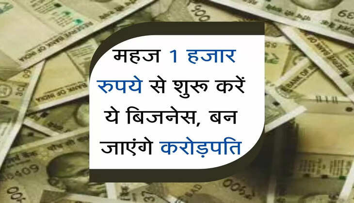 Business Tips : महज 1 हजार रुपये से शुरू करें ये बिजनेस, बन जाएंगे करोड़पति