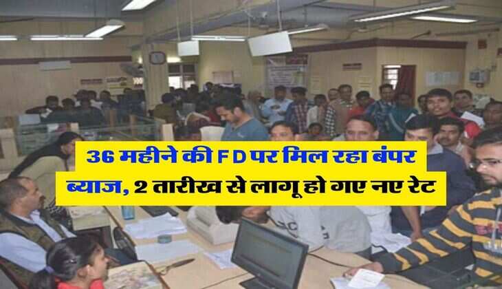 36 महीने की FD पर मिल रहा बंपर ब्याज, 2 तारीख से लागू हो गए नए रेट