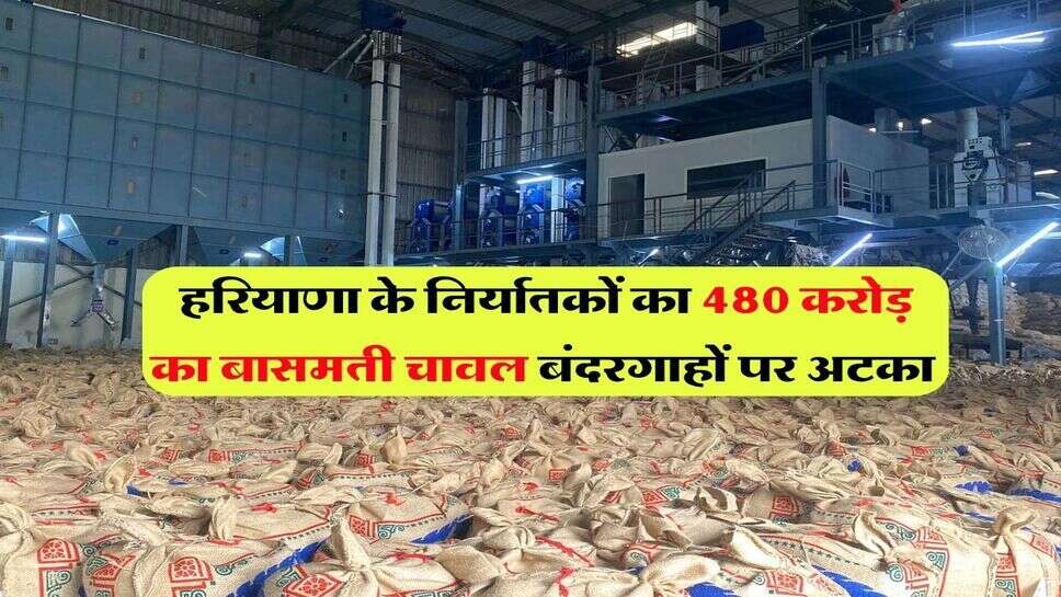 हरियाणा के निर्यातकों का 480 करोड़ का बासमती चावल बंदरगाहों पर अटका 