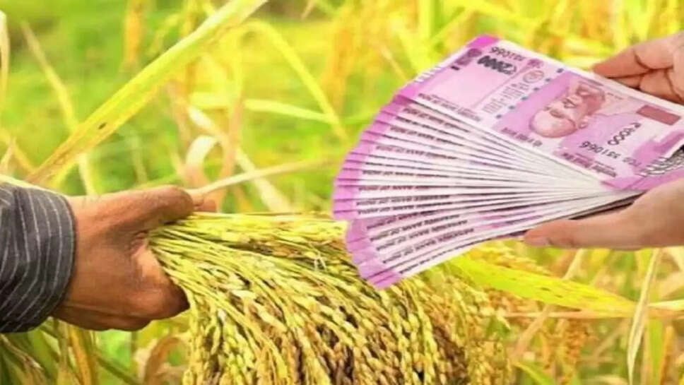 PM Kisan Yojana के तहत सरकार दे रही लाखों का फायदा, इतने किसानों को मिला लाभ