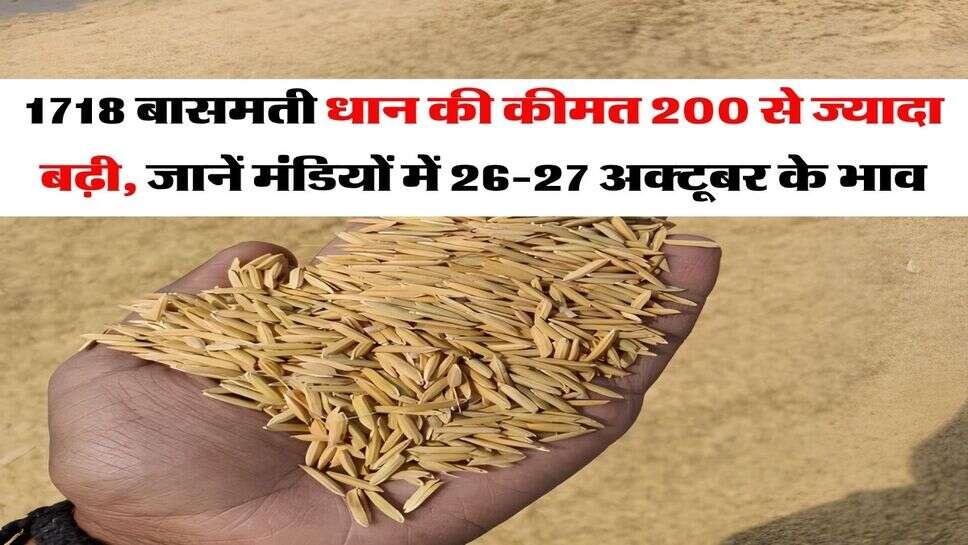 1718 Dhan Price : 1718 बासमती धान की कीमत 200 से ज्यादा बढ़ी, जानें मंडियों में 26-27 अक्टूबर के भाव