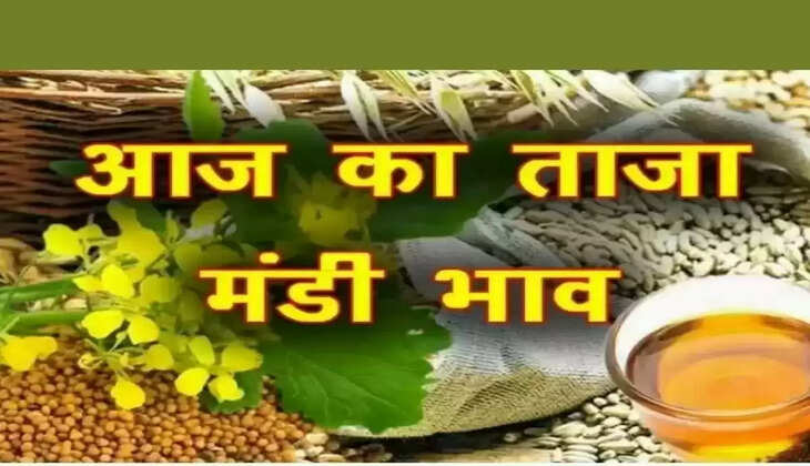 Aaj ka mandi bhav Grain market price of March 31, 2022