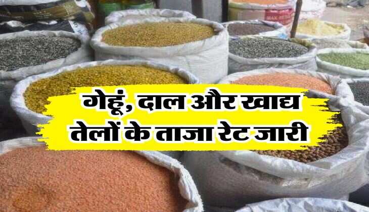 Mandi Bhav : गेहूं, दाल और खाद्य तेलों के ताजा रेट जारी
