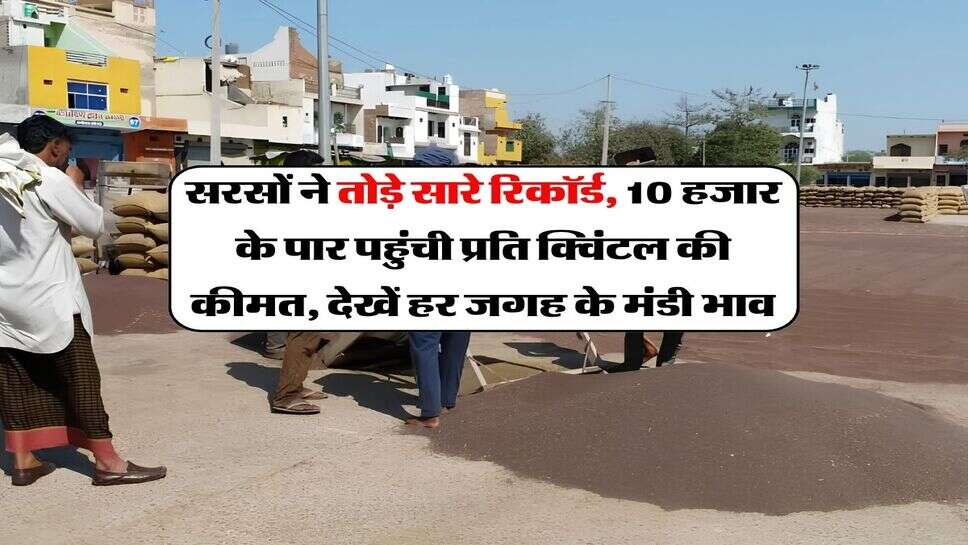 Sarso ka Bhav 15 October : सरसों ने तोड़े सारे रिकॉर्ड, 10 हजार के पार पहुंची प्रति क्विंटल की कीमत, देखें हर जगह के मंडी भाव