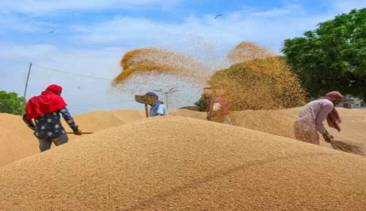 MSP : सरकारी केंद्रों में पसरा सन्नाटा, मंडियों में मिल रहा गेहूं का एमएसपी से ज्यादा रेट