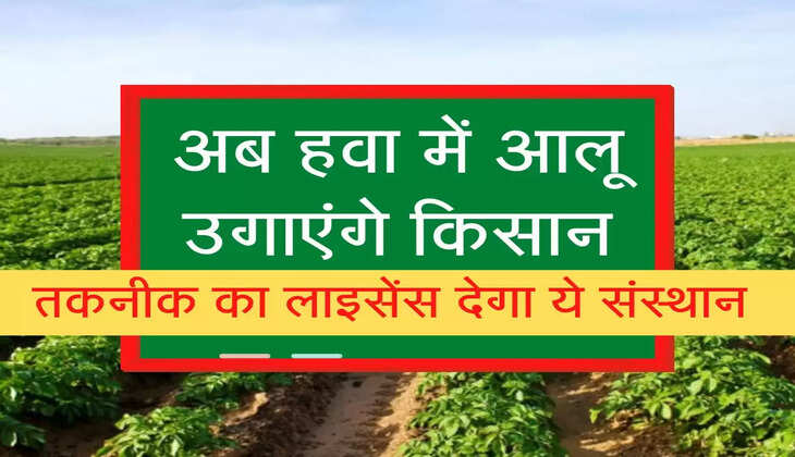Aeroponic Farming: अब हवा में भी आलू उगा पाएंगे किसान, यहां मिलेगा इस तकनीक का लाइसेंस