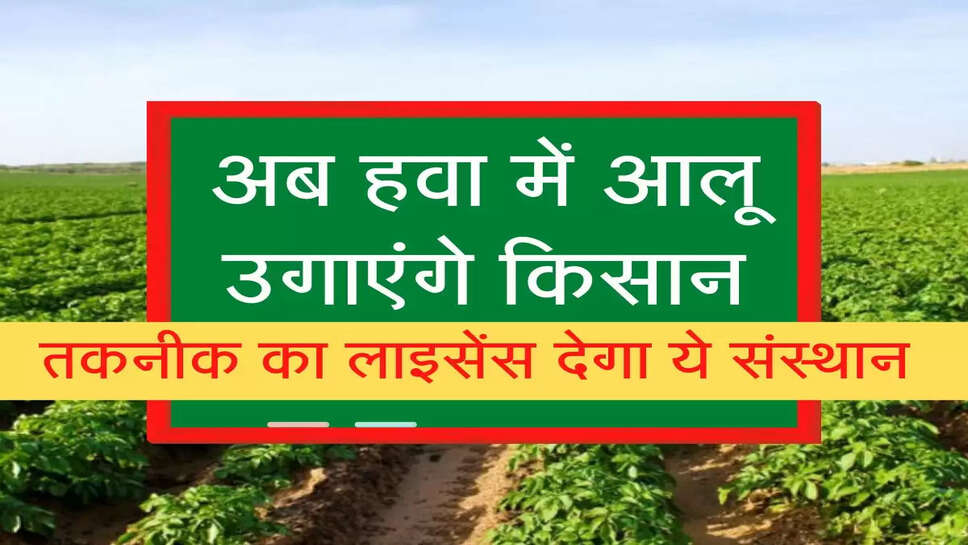 Aeroponic Farming: अब हवा में भी आलू उगा पाएंगे किसान, यहां मिलेगा इस तकनीक का लाइसेंस