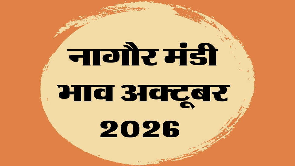 नागौर मंडी भाव 24 अक्टूबर 2026 : ग्वार, सौंफ, असालिया और दाणा मैथी में आई गिरावट&nbsp;