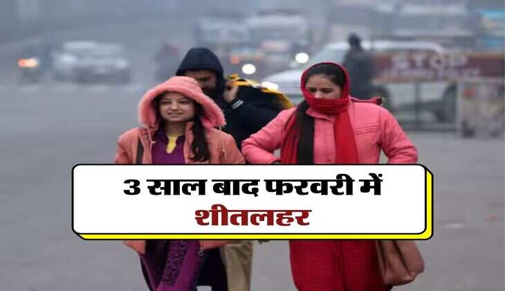 IMD Delhi Weather : 3 साल बाद फरवरी में शीतलहर, दिल्ली में इस तारीख को होगी बारिश