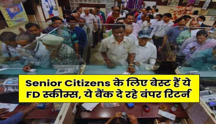 Senior Citizens के लिए बेस्ट हैं ये FD स्कीम्स, ये बैंक दे रहे बंपर रिटर्न
