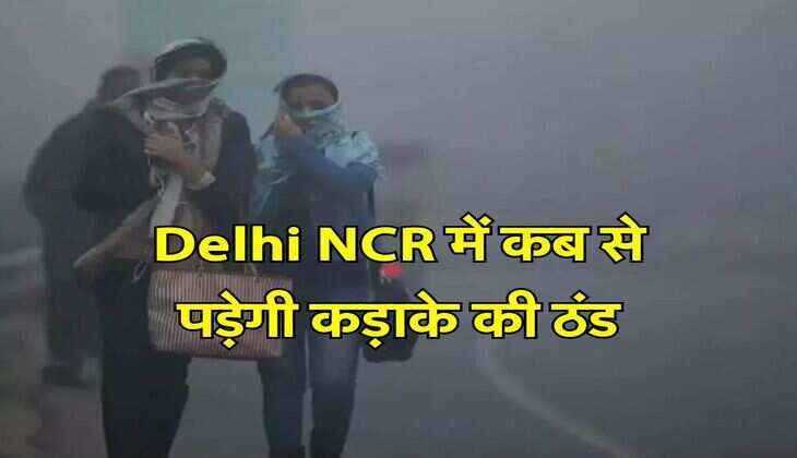 Delhi NCR में कब से पड़ेगी कड़ाके की ठंड, मौसम विभाग ने जारी किया लेटेस्ट अपडेट