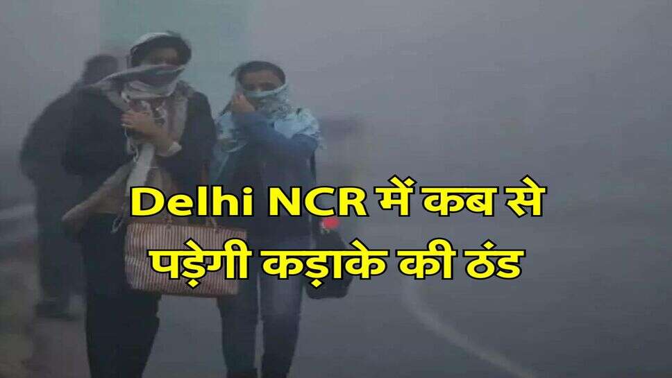 Delhi NCR में कब से पड़ेगी कड़ाके की ठंड, मौसम विभाग ने जारी किया लेटेस्ट अपडेट