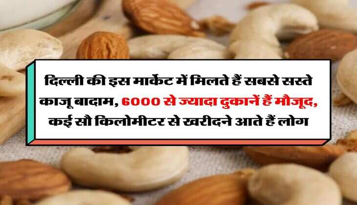 Delhi Cheapest Dry Fruit Market : दिल्ली की इस मार्केट में मिलते हैं सबसे सस्ते काजू बादाम, 6000 से ज्यादा दुकानें हैं मौजूद, कई सौ किलोमीटर से खरीदने आते हैं लोग
