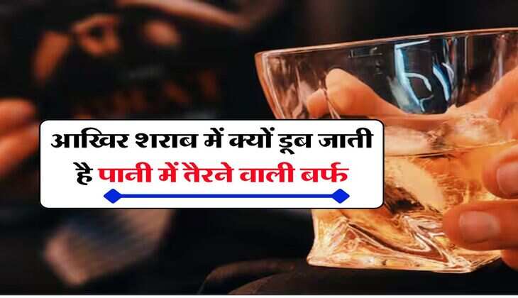 Wine beer : आखिर शराब में क्यों डूब जाती है पानी में तैरने वाली बर्फ, जानिए इसके पीछे की वजह