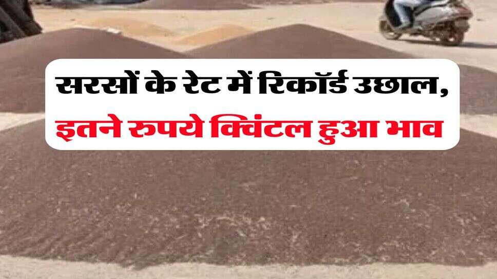 sarso price 15 july : सरसों के रेट में रिकॉर्ड उछाल, इतने रुपये क्विंटल हुआ भाव