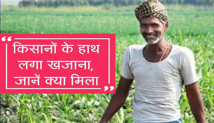 किसानों के हाथ लगा खजाना, इस पोर्टल पर सिर्फ आवेदन करें फायदा पक्का