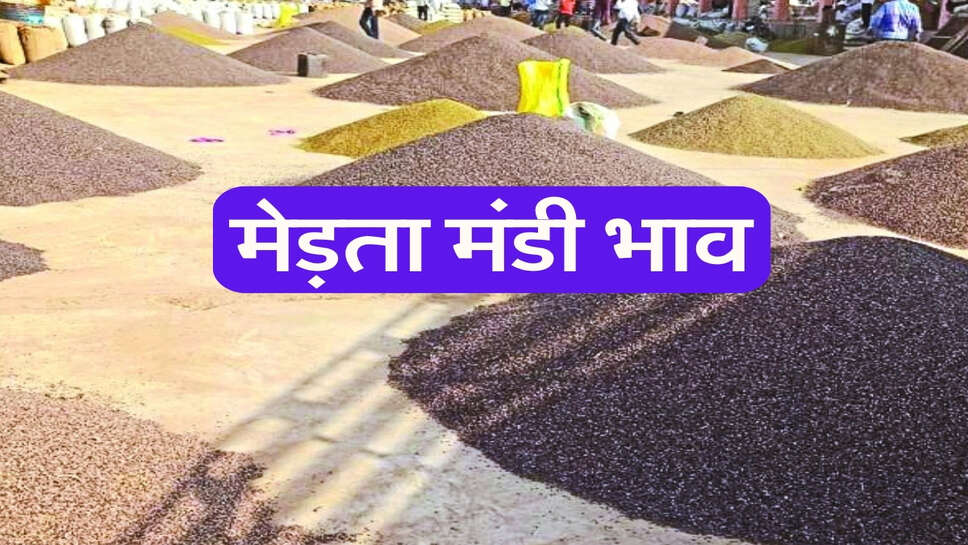 मेड़ता मंडी भाव 23 अक्टूबर 2026: सुवा और ग्वार तेज, मूंग-चना मंदे हुए