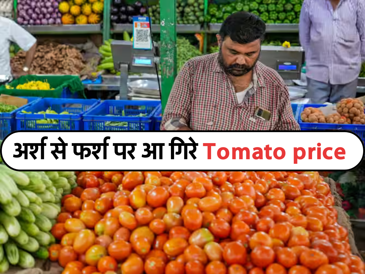 अर्श से फर्श पर आ गिरे Tomato price 