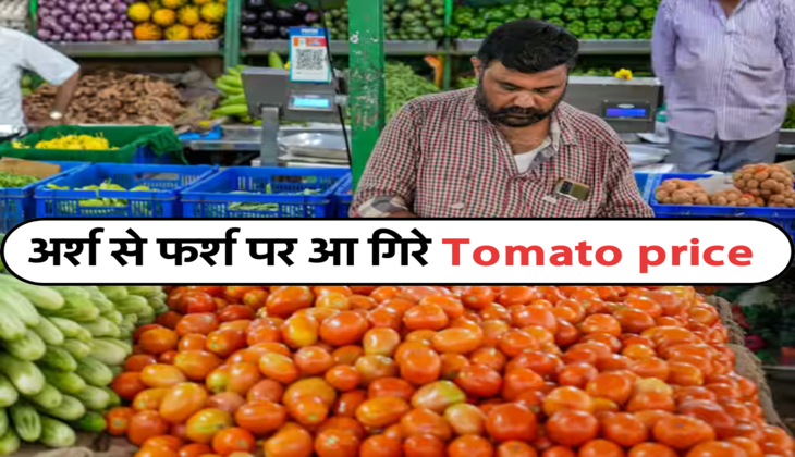 अर्श से फर्श पर आ गिरे Tomato price&nbsp;