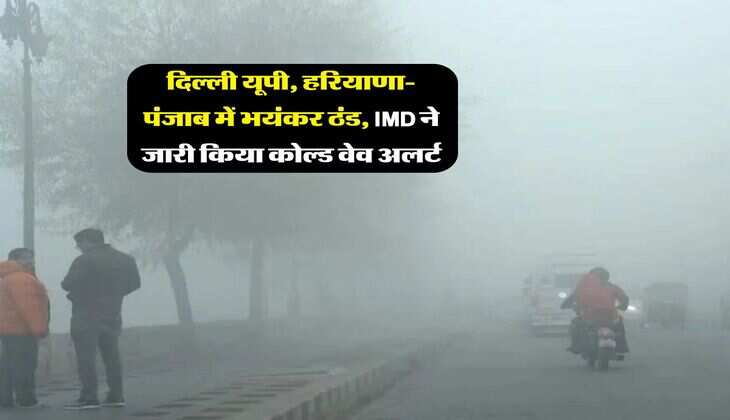 Kal Ka Mausam : दिल्ली यूपी, हरियाणा-पंजाब में भयंकर ठंड, IMD ने जारी किया कोल्ड वेव अलर्ट